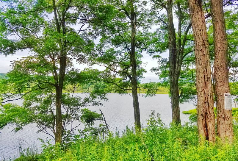 A Wild Lake Tucked Into Northwest Pennsylvania