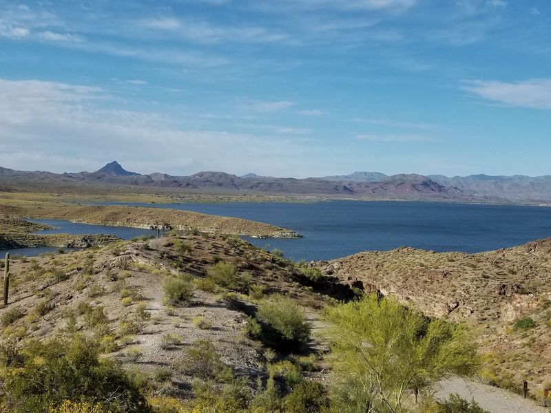 Alamo Lake State Park, Wenden