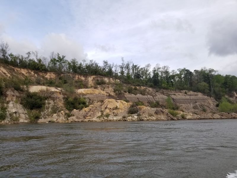 Alum Bluff, Bristol Alum Bluff, Bristol