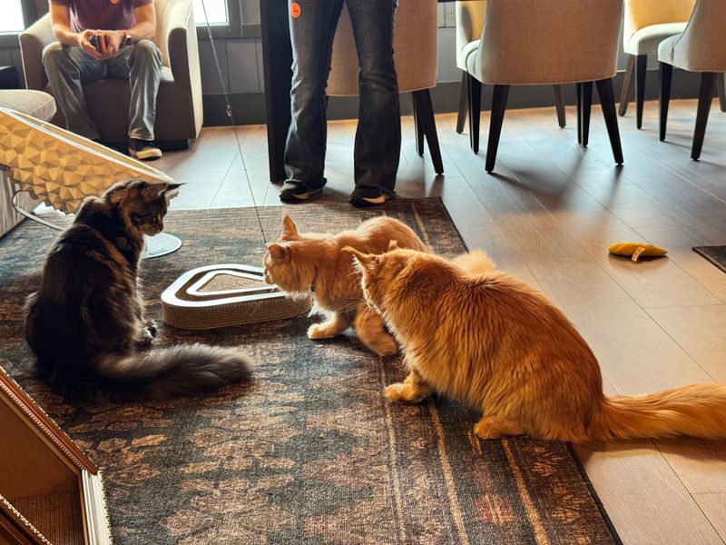 An Adoption Room With a Heart