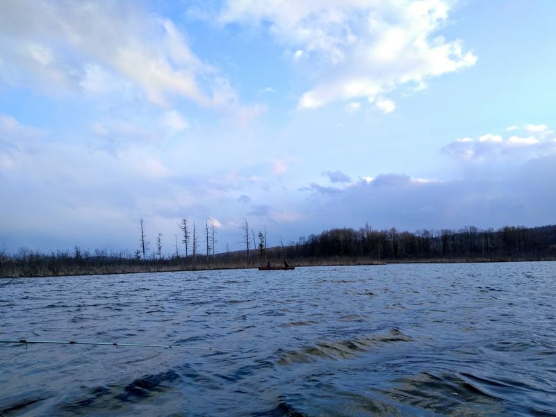An Aquatic Wilderness Feel Near The Highway
