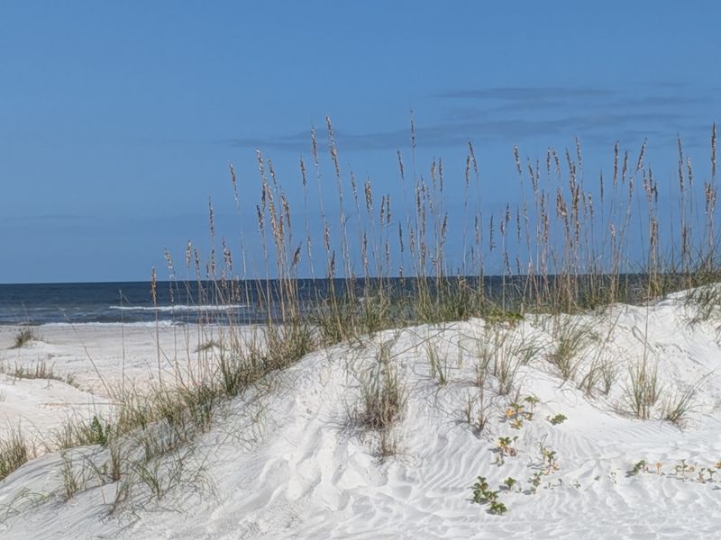 Anastasia State Park, St. Augustine Anastasia State Park, St. Augustine