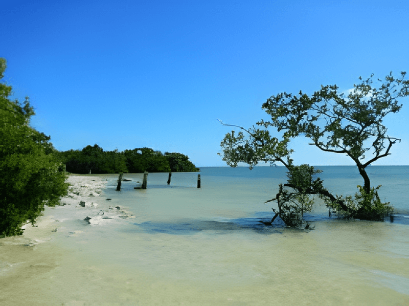 Anne's Beach, Islamorada
