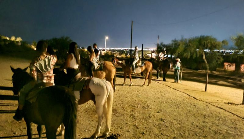 Arriving On Horseback Through The Desert