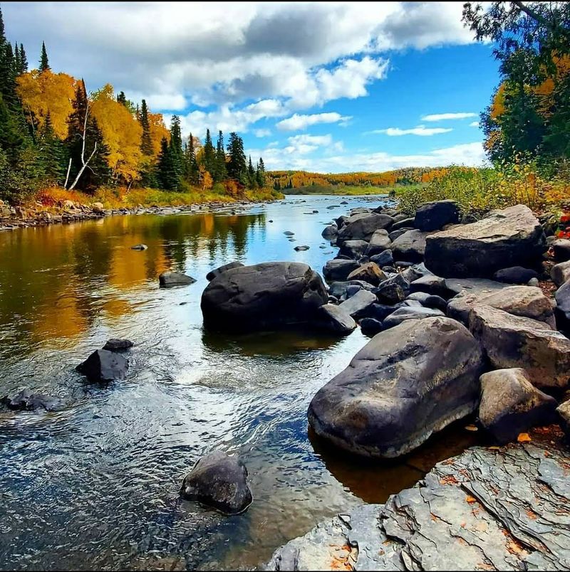 Autumn Color Show