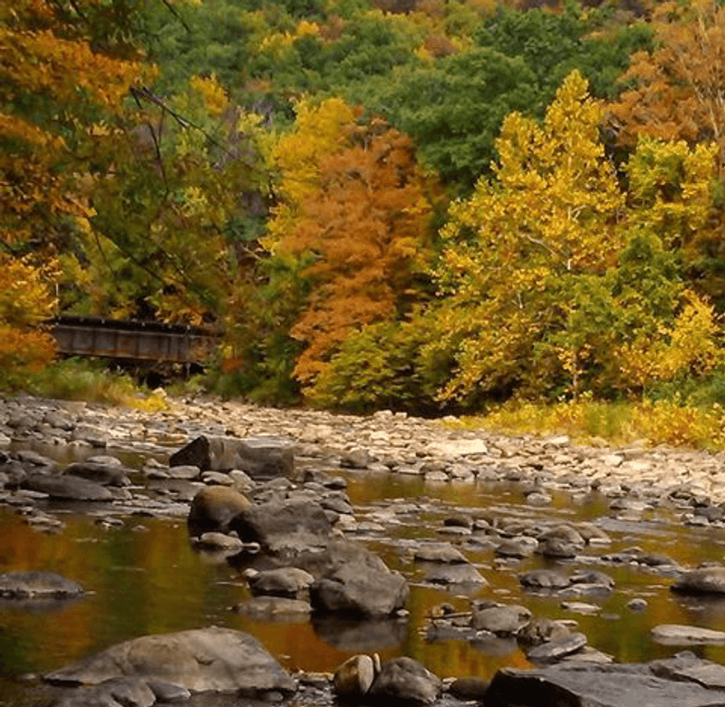Autumn Color That Steals the Show Autumn Color That Steals the Show