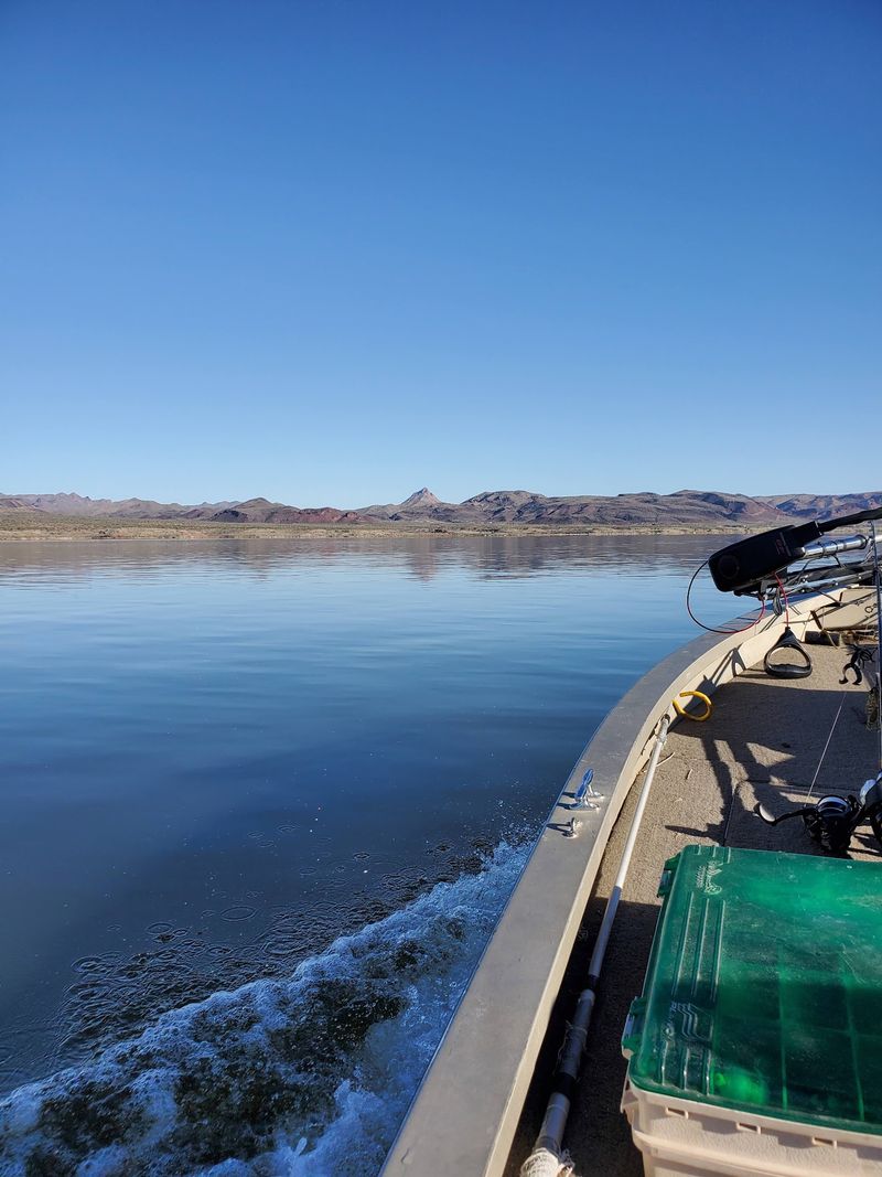Bass Fishing That Locals Drive Hours For