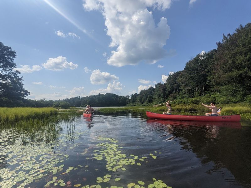Beach Days and Boat Rentals