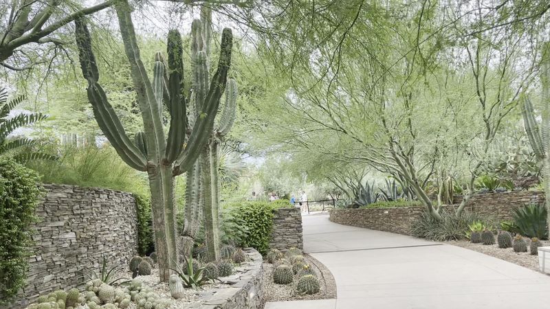 Beating The Heat With Water Stations And Shade
