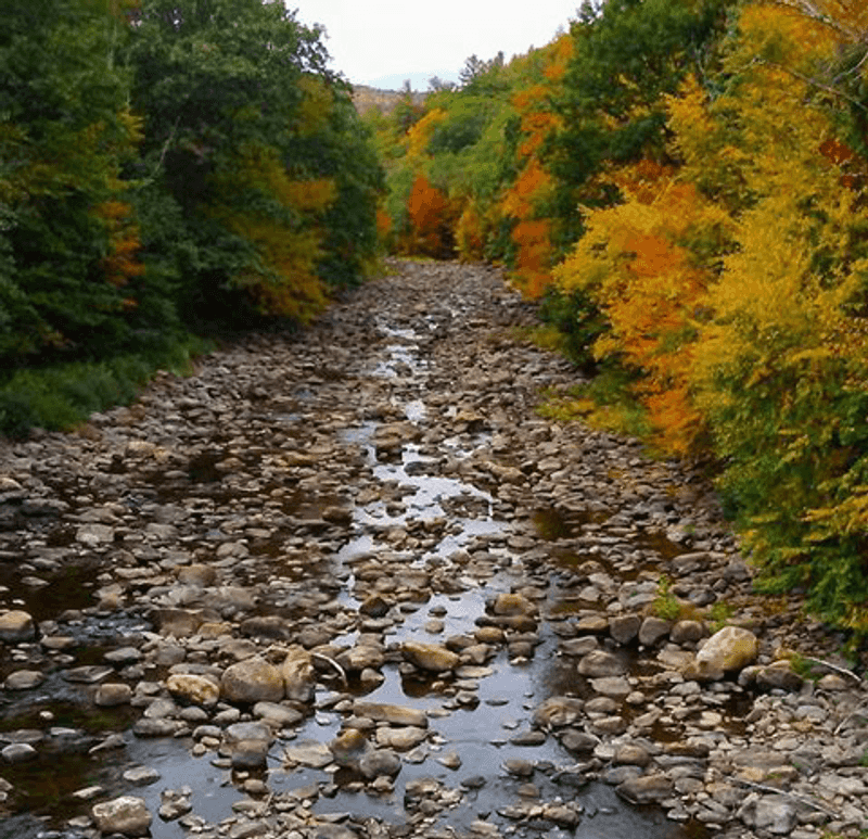 Biking the Scenic Route Biking the Scenic Route