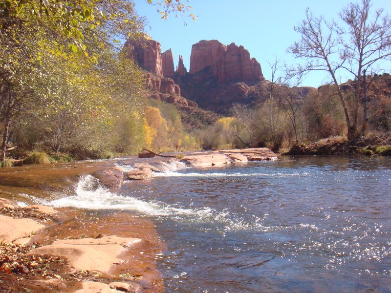 Bird-Watching and Picnics at Red Rock State Park