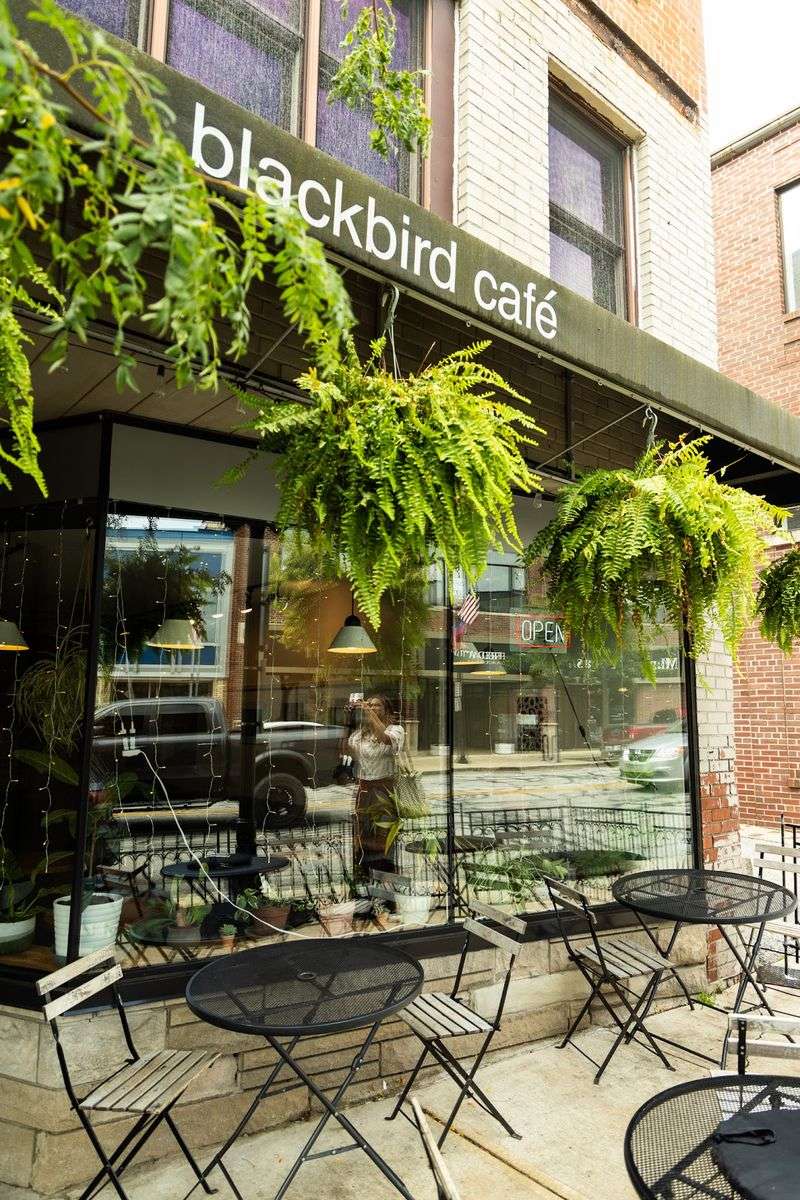 Blackbird Cafe, Valparaiso, Indiana Blackbird Cafe, Valparaiso, Indiana
