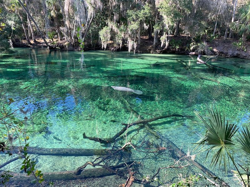 Blue Spring State Park, Orange City, Florida Blue Spring State Park, Orange City, Florida