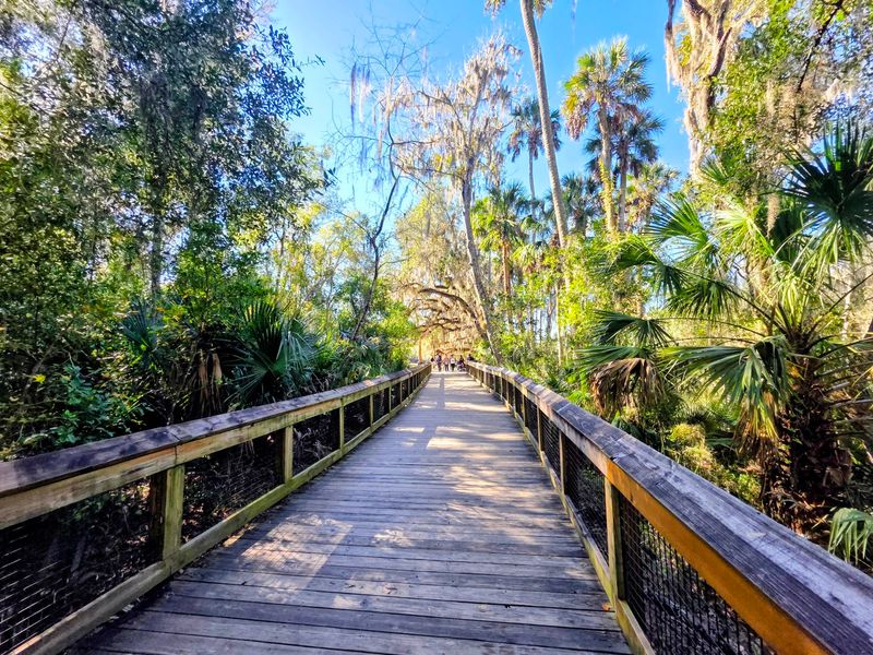 Boardwalk Views and Wooded Trails Boardwalk Views and Wooded Trails