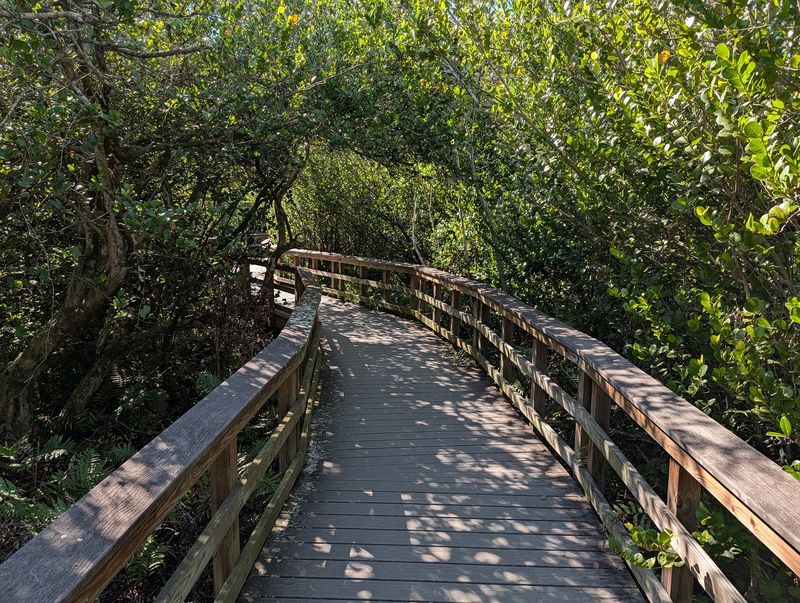 Boardwalks and Short Trails Near the Center