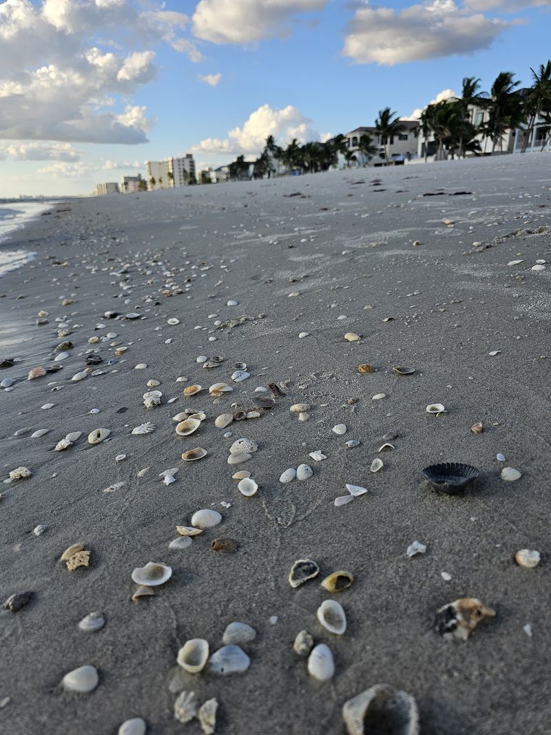 Bonita Beach, Bonita Springs, Florida Bonita Beach, Bonita Springs, Florida