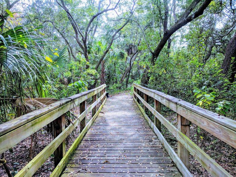 Boyd Hill Nature Preserve, St. Petersburg Boyd Hill Nature Preserve, St. Petersburg