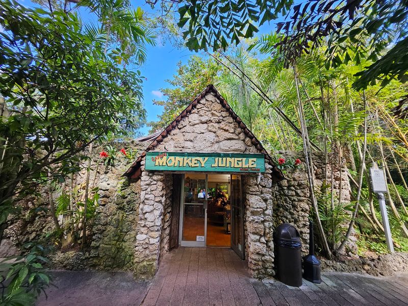 Budget-Friendly Admission Without the Frills