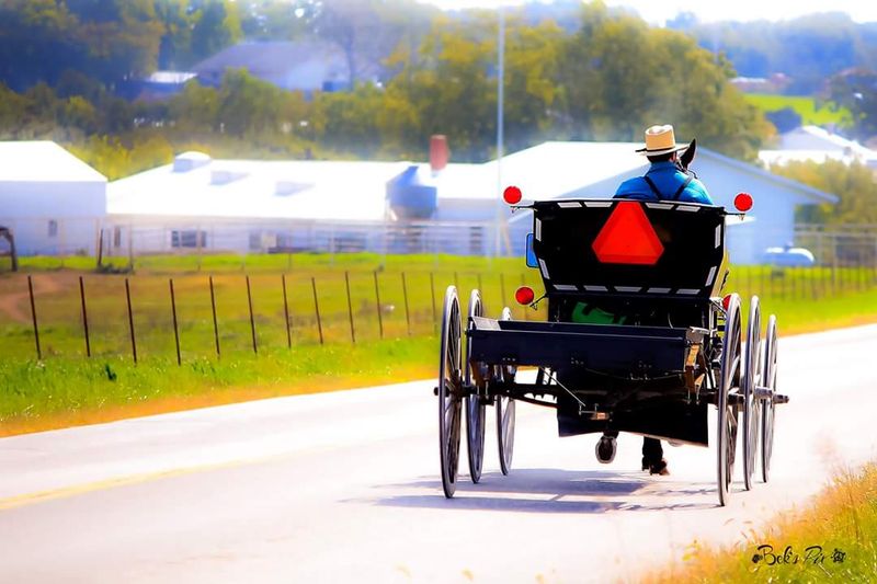 Buggy Sightings Add Old-Time Charm