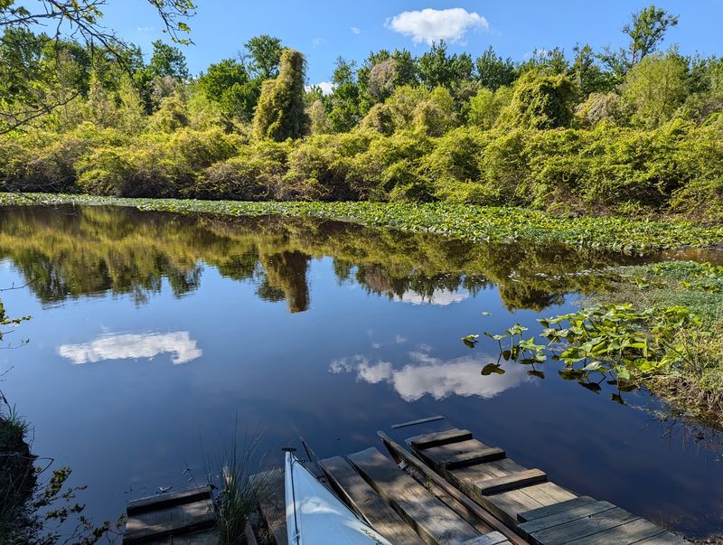 Bugs, Wildlife, and Timing Your Visit