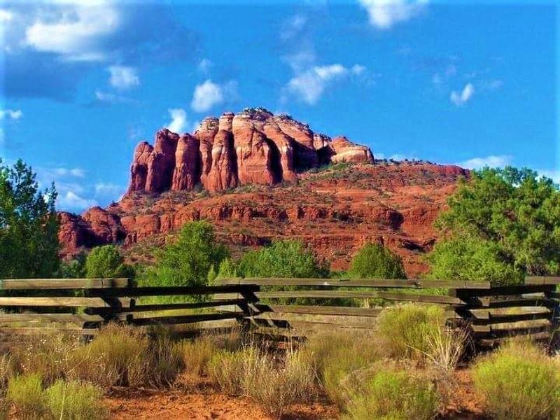 Buttes, Canyon Walls, and Pine Forest All at Once