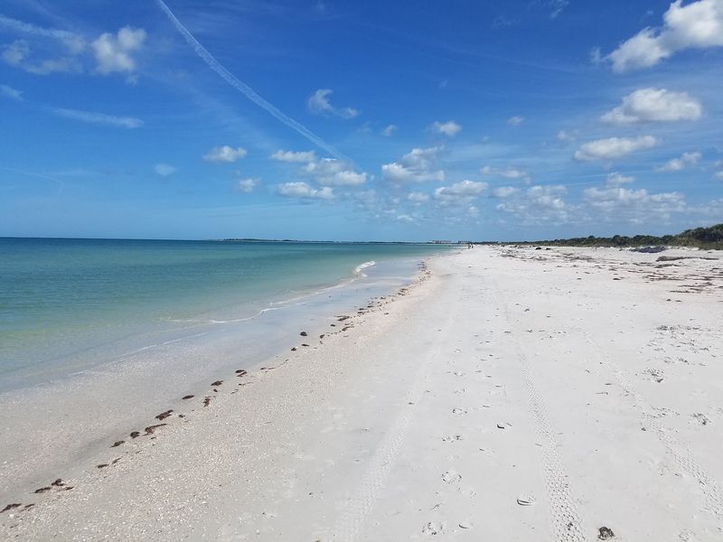 Caladesi Island State Park, Dunedin Caladesi Island State Park, Dunedin