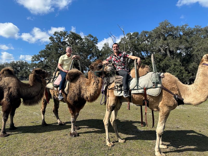 Camel Rides and a Cast of Other Animals Camel Rides and a Cast of Other Animals