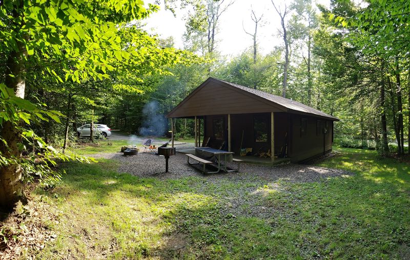 Camping Under the Trees