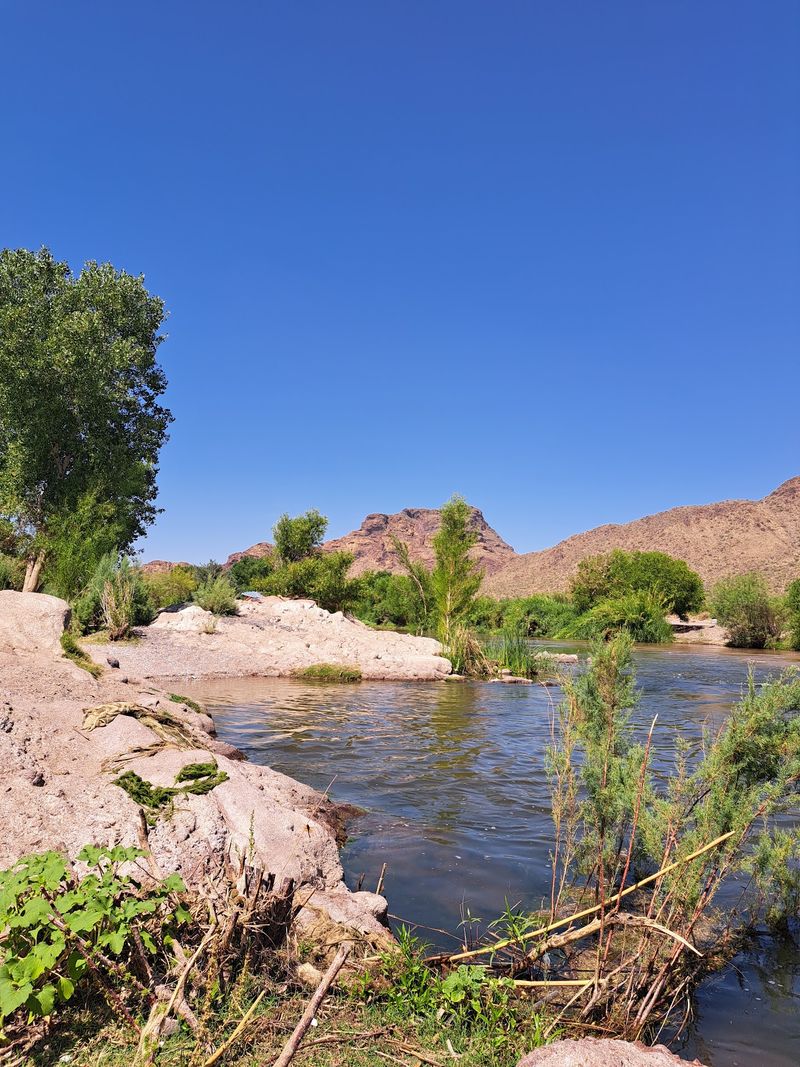 Casting A Line Along The Banks