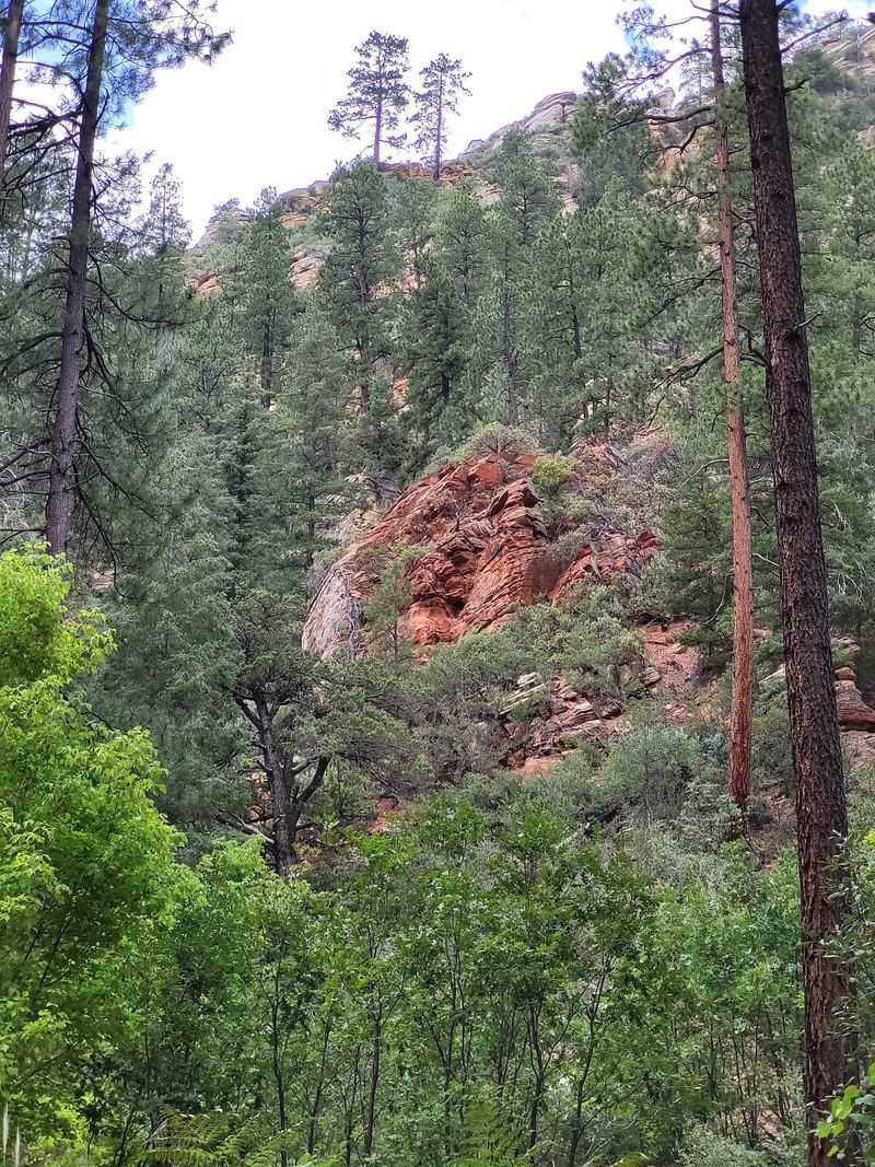 Cave Springs Campground, Oak Creek Canyon