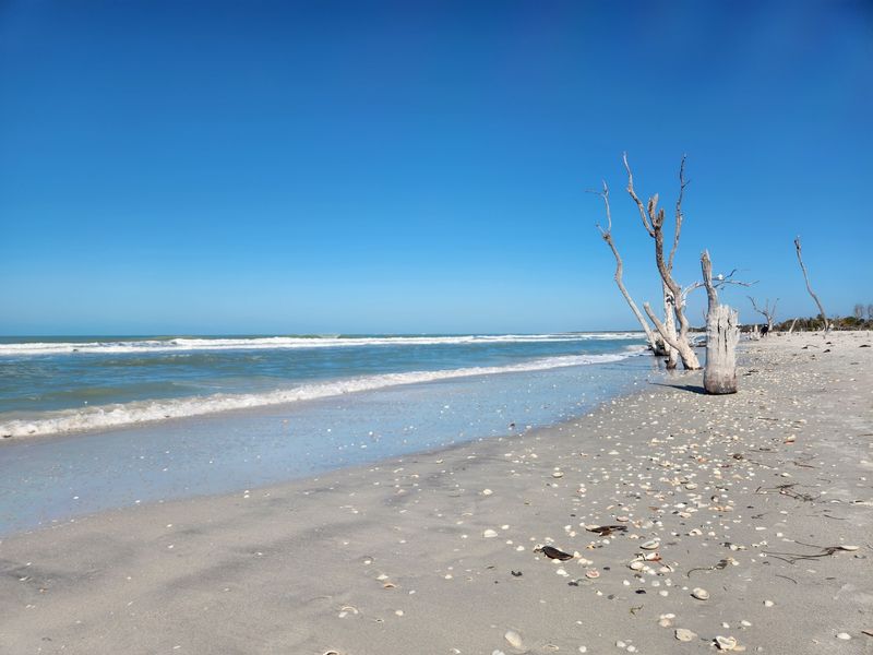 Cayo Costa State Park, near Boca Grande, Florida Cayo Costa State Park, near Boca Grande, Florida