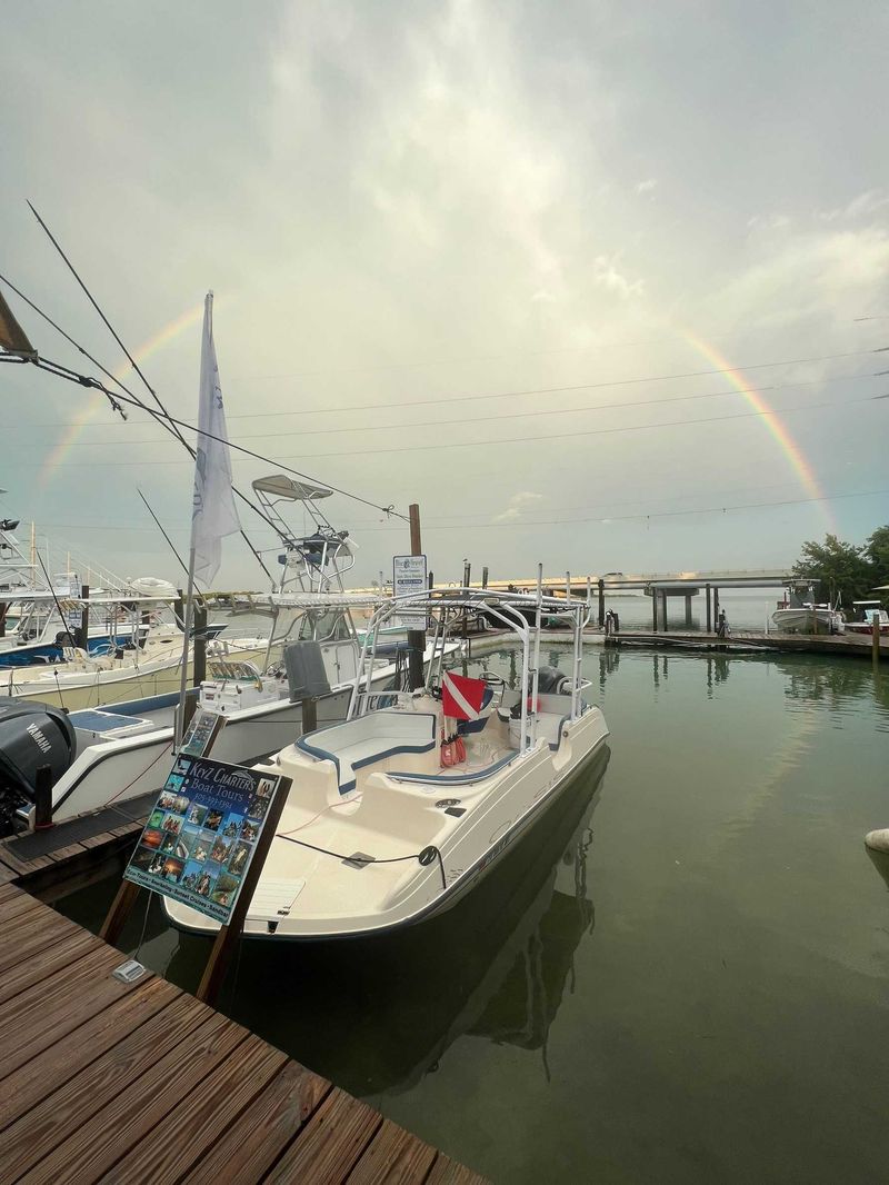 Check conditions before you commit to the water