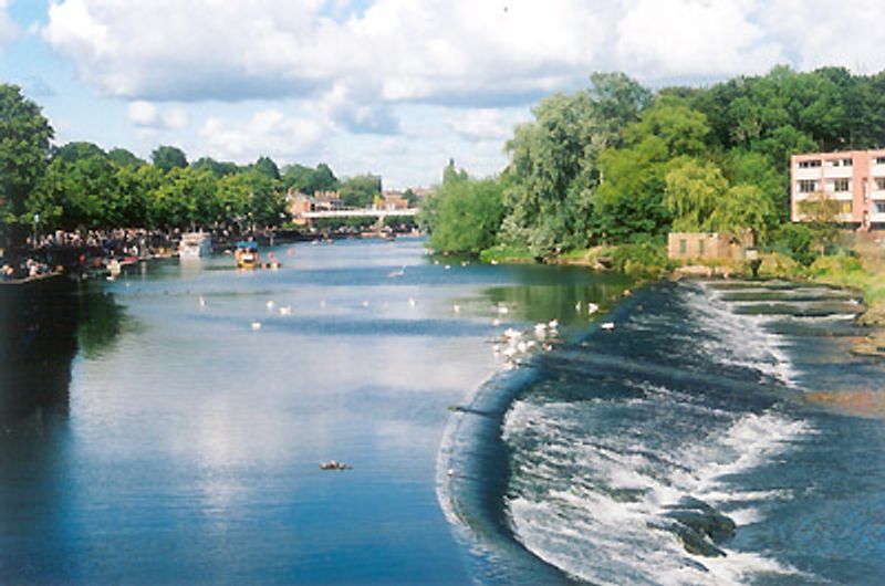 Cheshire Cheshire