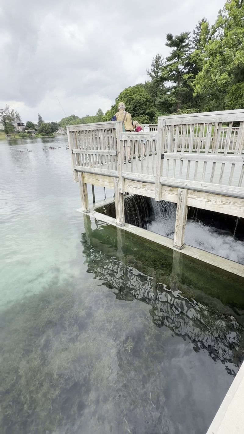 Children's Lake And Its Surprisingly Clear Water