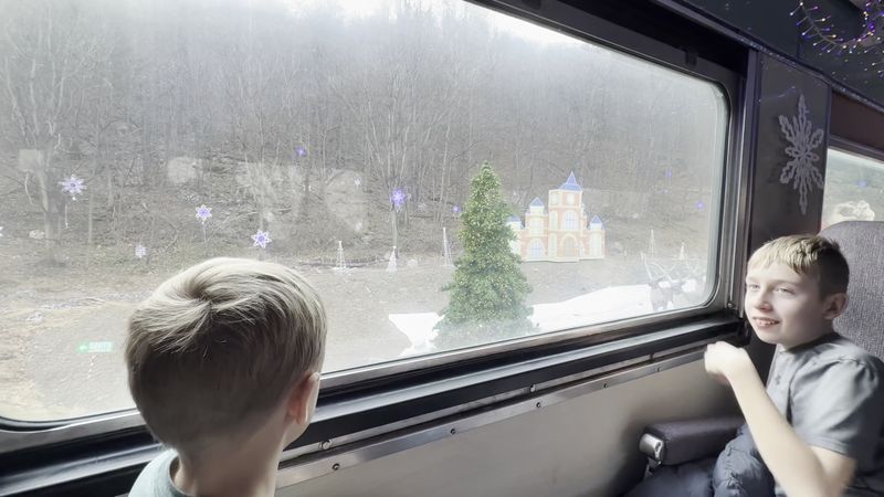 Choosing Between Coach And Open Air Cars