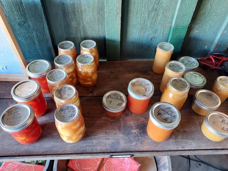 Cider, Jam, and Other Barn Finds Cider, Jam, and Other Barn Finds