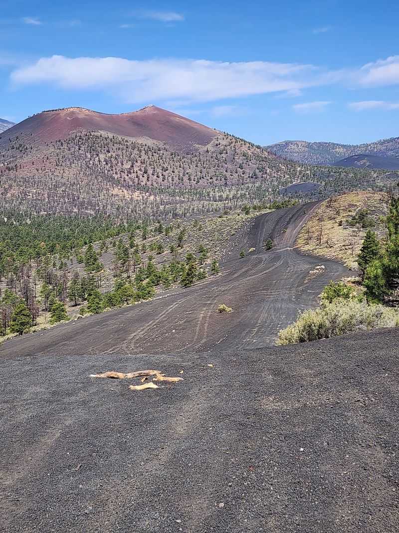 Cinder Hills OHV Area, near Flagstaff