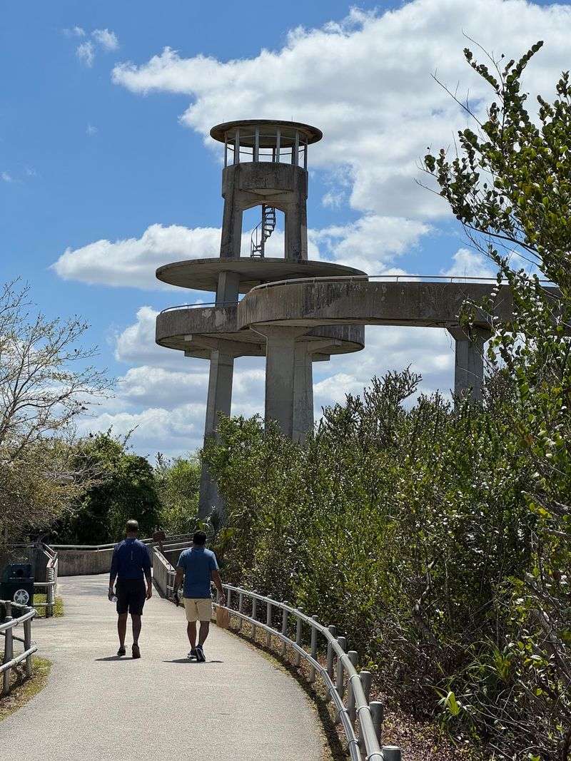 Climbing the Observation Tower at the Halfway Mark