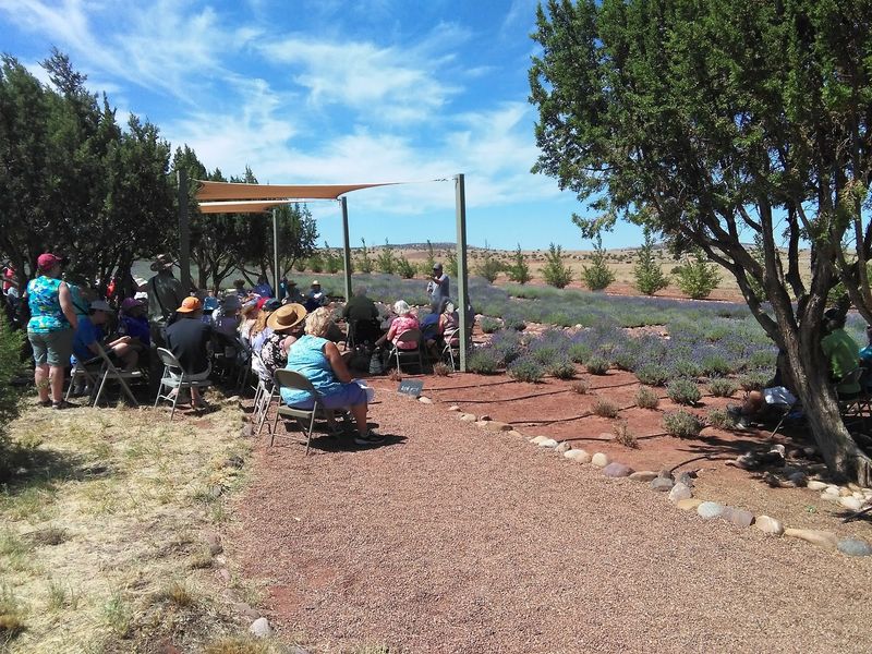 Cooking With Lavender Demonstrations Cooking With Lavender Demonstrations