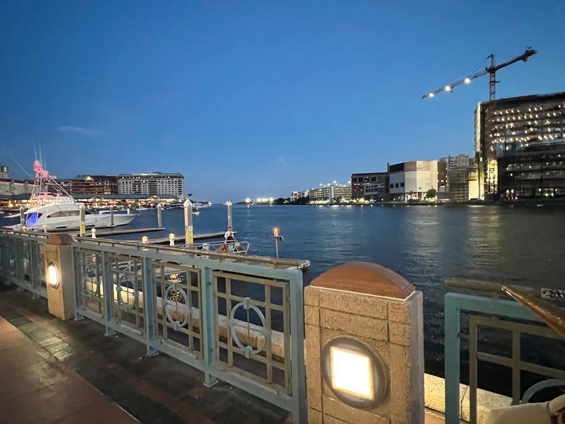 Cruising Along the Tampa Riverwalk