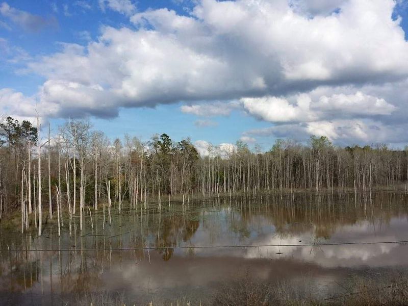 Cuthbert, Randolph County Cuthbert, Randolph County