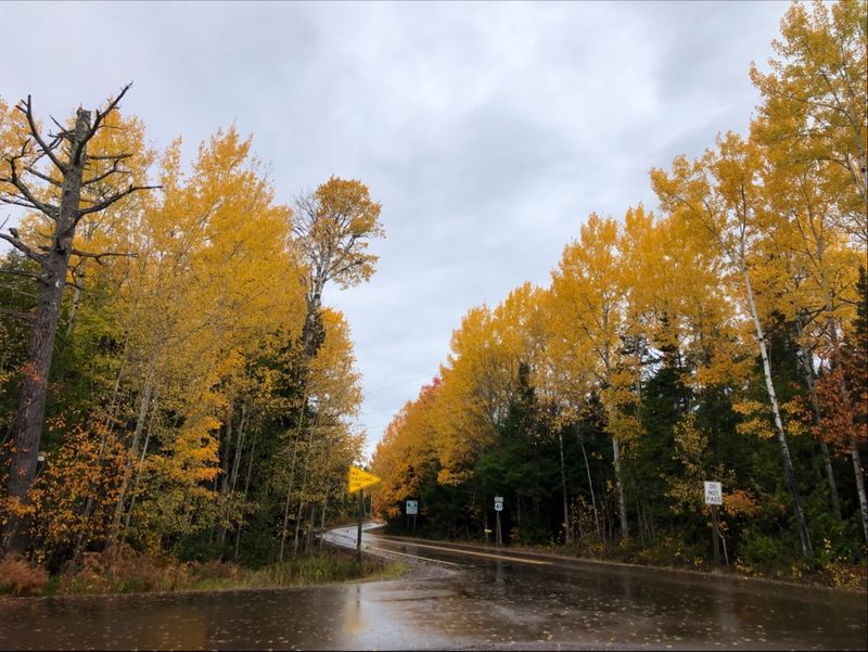 Detours and Road Conditions to Watch For