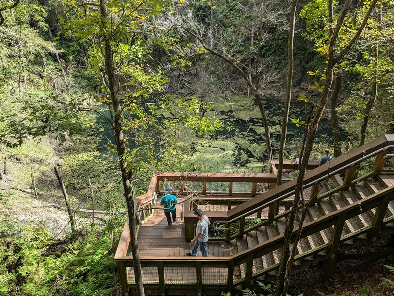 Devil's Millhopper Geological State Park, Gainesville Devil's Millhopper Geological State Park, Gainesville