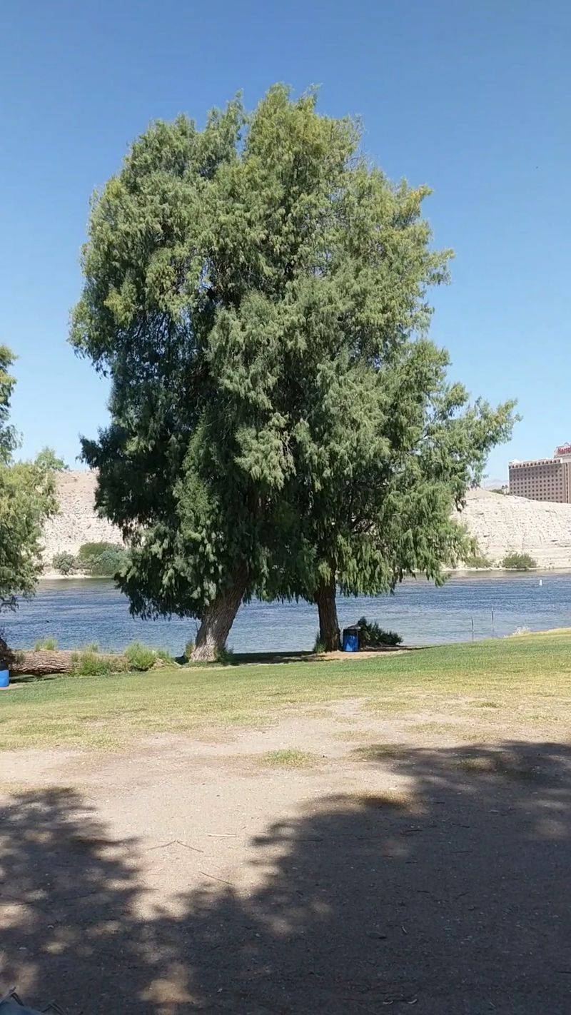Disc Golf And Riverside Walks