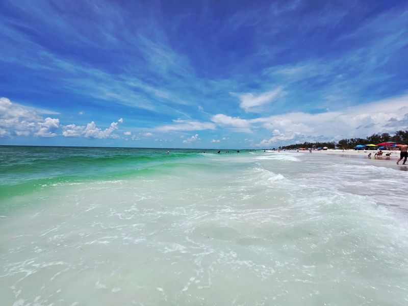 Dolphins, Manatees, and Fish Near Your Feet