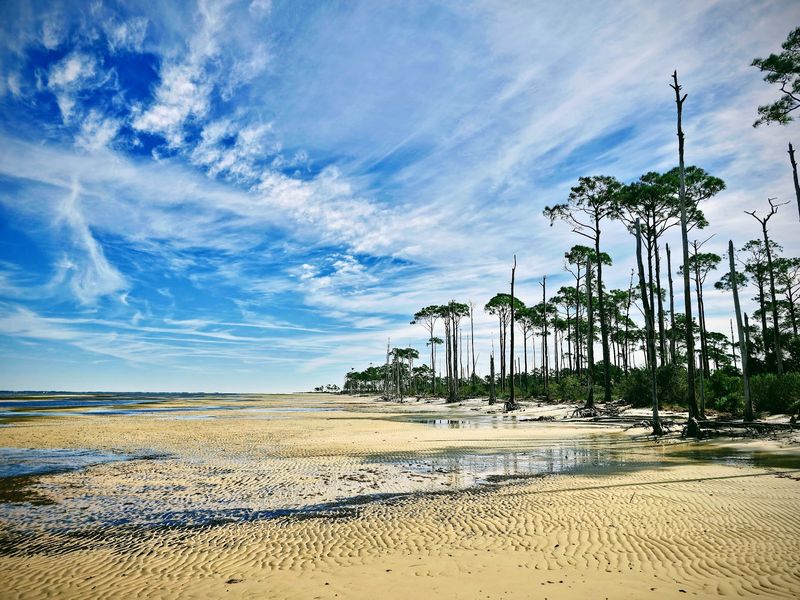 Dunes That Reach Toward the Sky
