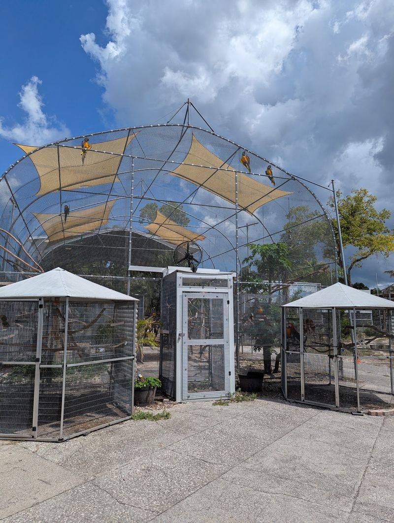 Enclosures Built for Birds to Be Birds Enclosures Built for Birds to Be Birds