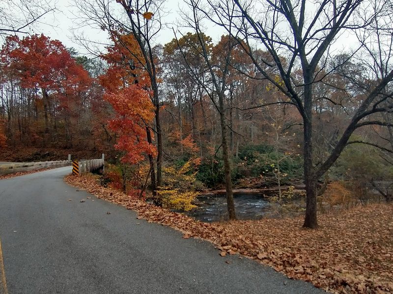 Fall Colors That Steal the Show Fall Colors That Steal the Show