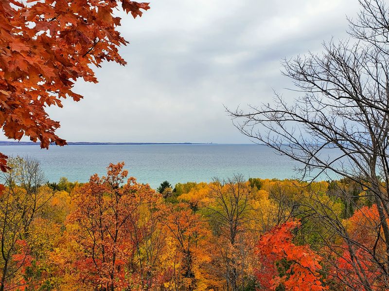 Fall Colors That Steal the Show
