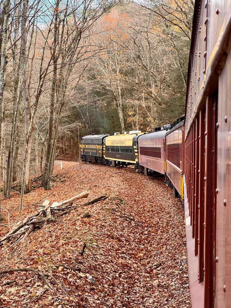 Fall Foliage Season Steals the Show